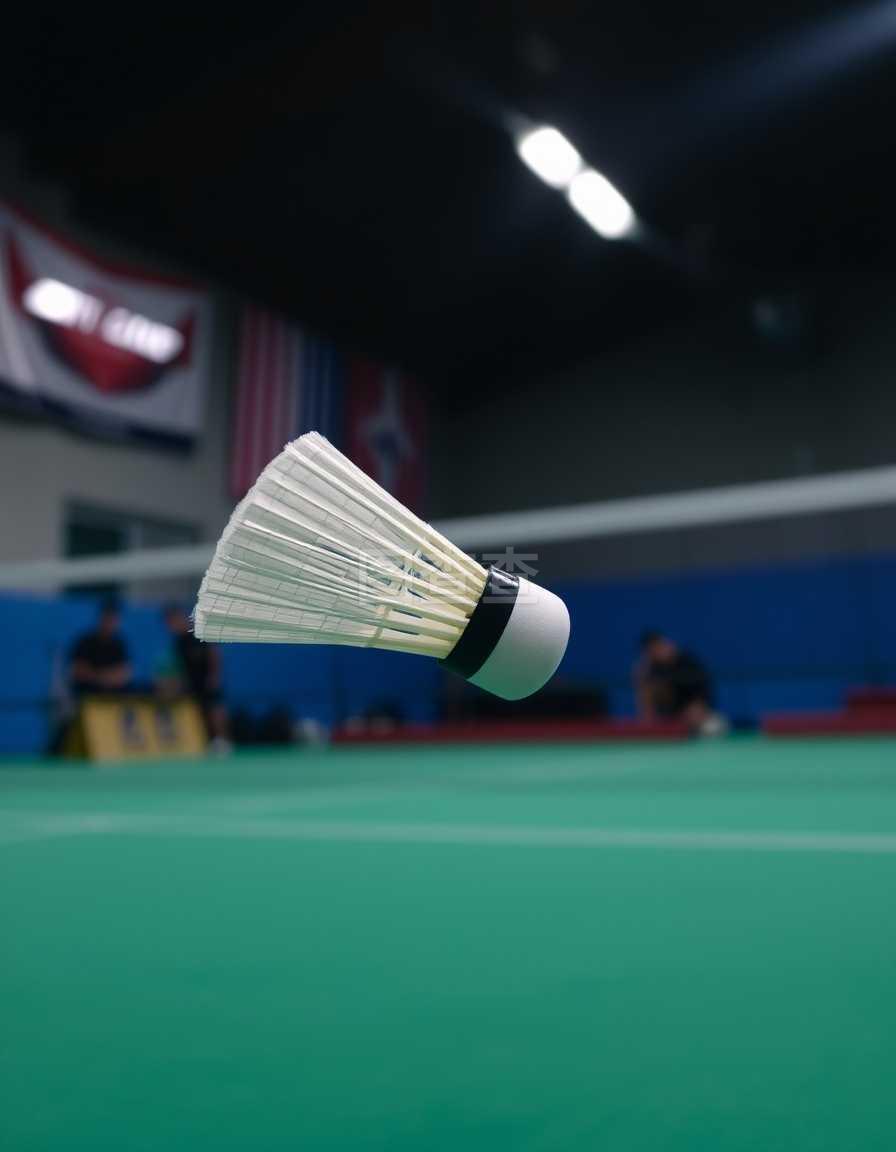 将比赛中团 将比赛中团